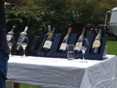 Foto 6 koninklijke wijnen gereed om te proeven