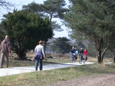 Foto: Fietsen en/of wandelen, genieten van Drenthe