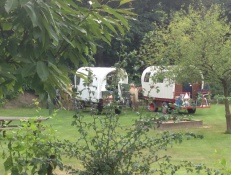 Foto Met paard en wagen op het autovrije tentenveld