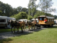Foto Zwerven door Drenthe....de paarden kunnen hier in de wei.